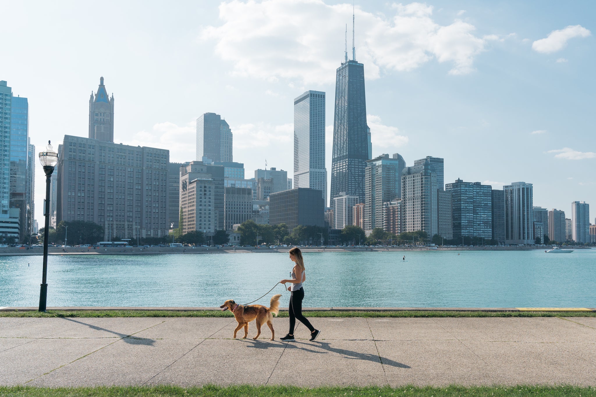 How does your dog tell time? – Petipet