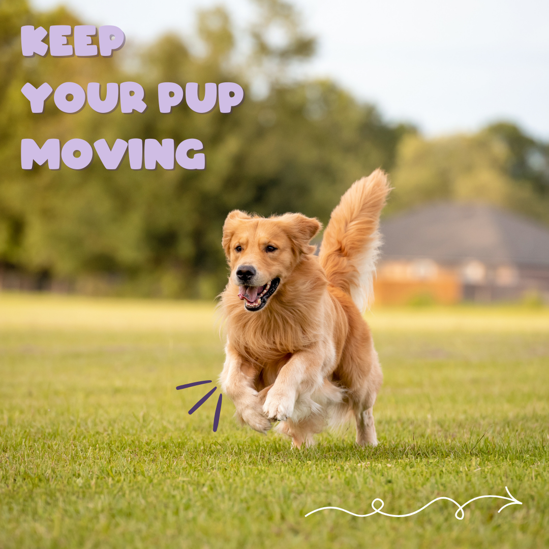 MOBILITY TREATS